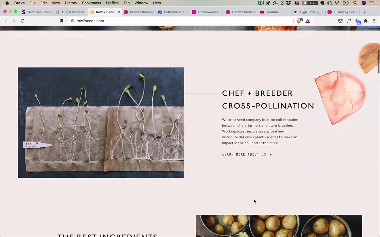 Row 7 Seeds — artsy, busy feeling, yet still just gray backgrounds + editorial photography + a few pops of color in accents